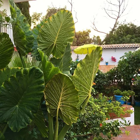 Carmen Teresa Torremolinos