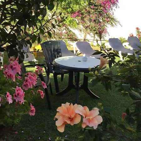 Carmen Teresa Hotel Torremolinos