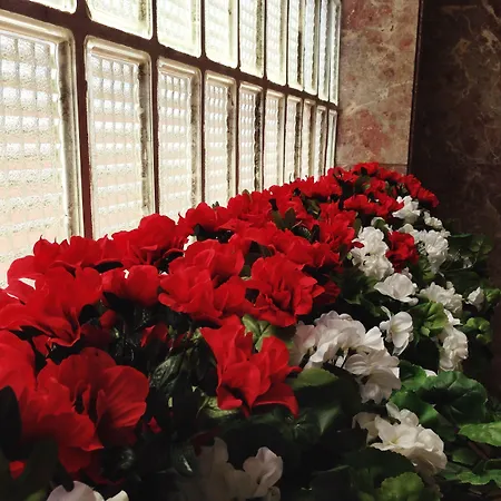 Carmen Teresa Ξενοδοχείο