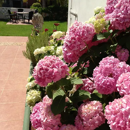 Carmen Teresa Ξενοδοχείο