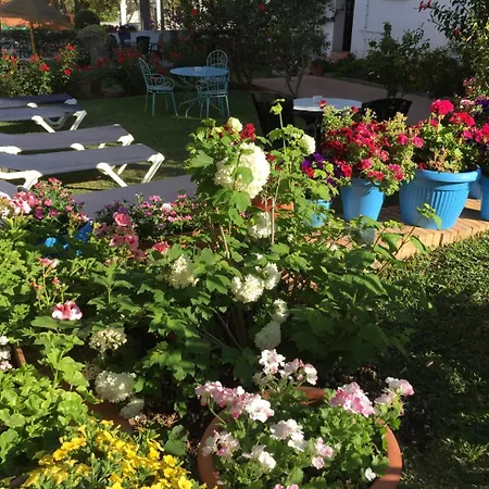 Carmen Teresa 호텔 3*