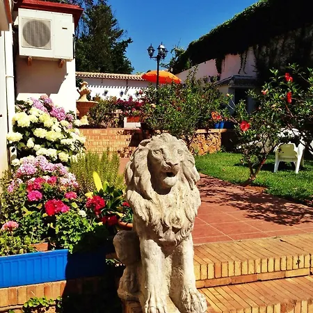 Carmen Teresa 호텔 토레몰리노스