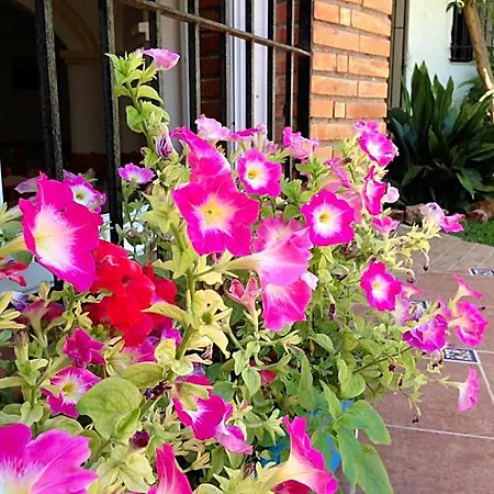 Carmen Teresa Otel Torremolinos
