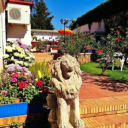 Carmen Teresa 3*