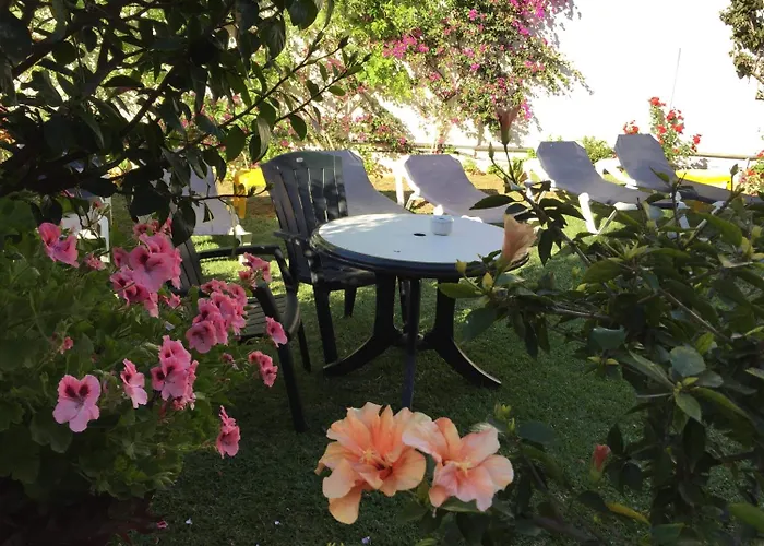 Carmen Teresa 토레몰리노스