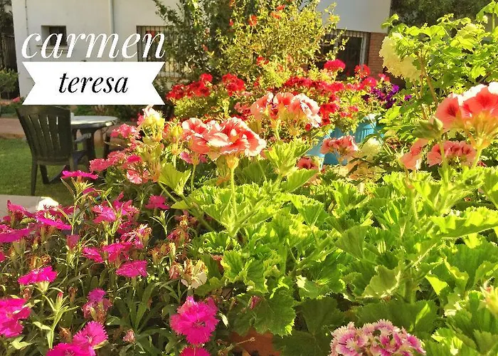 Carmen Teresa