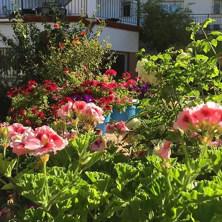 卡门特蕾莎酒店