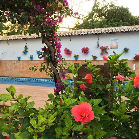 Carmen Teresa Szálloda Torremolinos