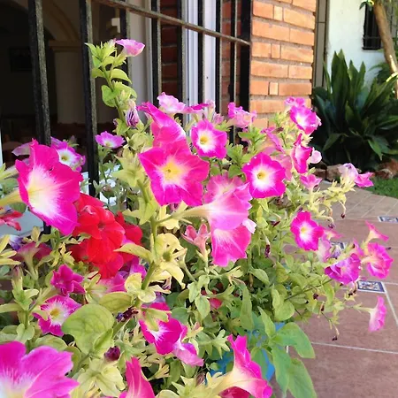 卡门特蕾莎酒店 酒店 3*