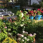 Carmen Teresa Otel 3*