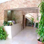 Carmen Teresa 3*