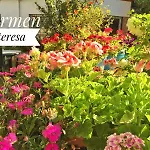Carmen Teresa