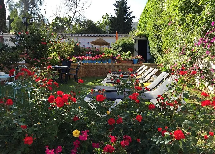 Carmen Teresa Torremolinos