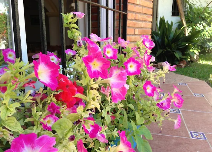 Carmen Teresa Hotel 3*